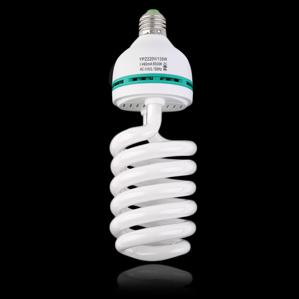 Photography Light Bulb