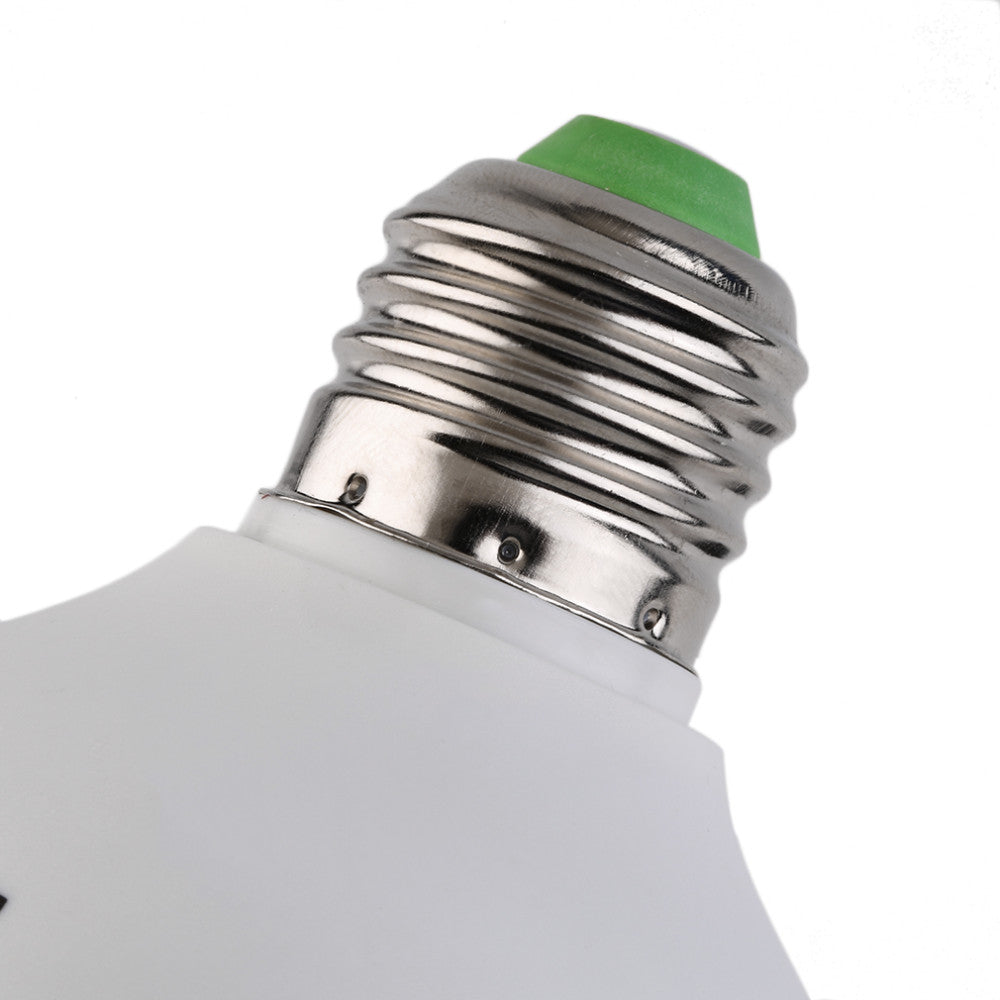 Photography Light Bulb