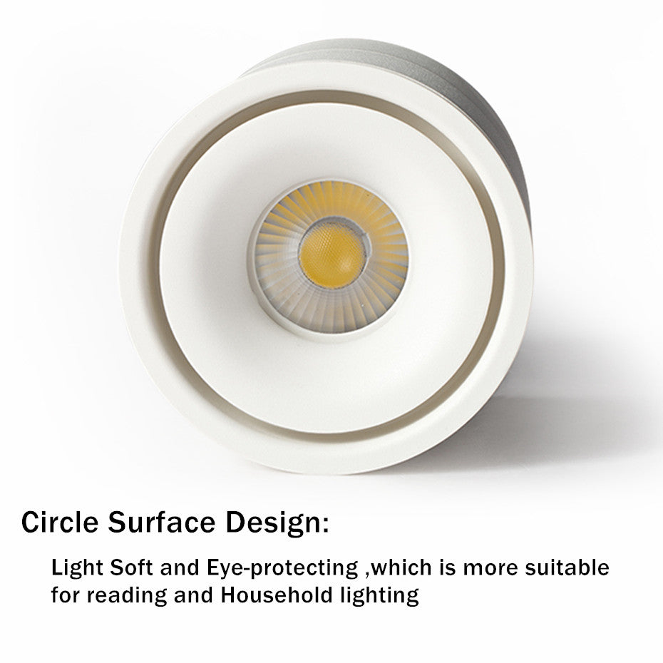 COB LED Downlight Surface Mounted Ceiling Lamps Foldable and 360 Degree Rotatable Spot light for Living Room Bedroom Hallway