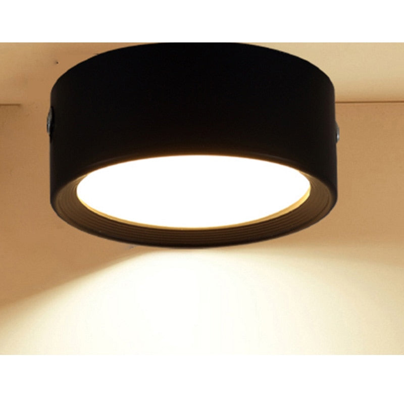 Ultra-thin led downlight 4 Colors 3W 5W 7W 9W 12W 15W 20W Surface Mounted AC220V LED spot lighting Led ceiling lamp Home Decor
