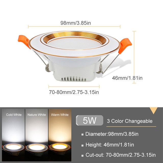 LED Downlight 220V 3W 5W 9W 12W 20W Spotlight Changeable Downlight LED Warm White Cold White Spot Lights