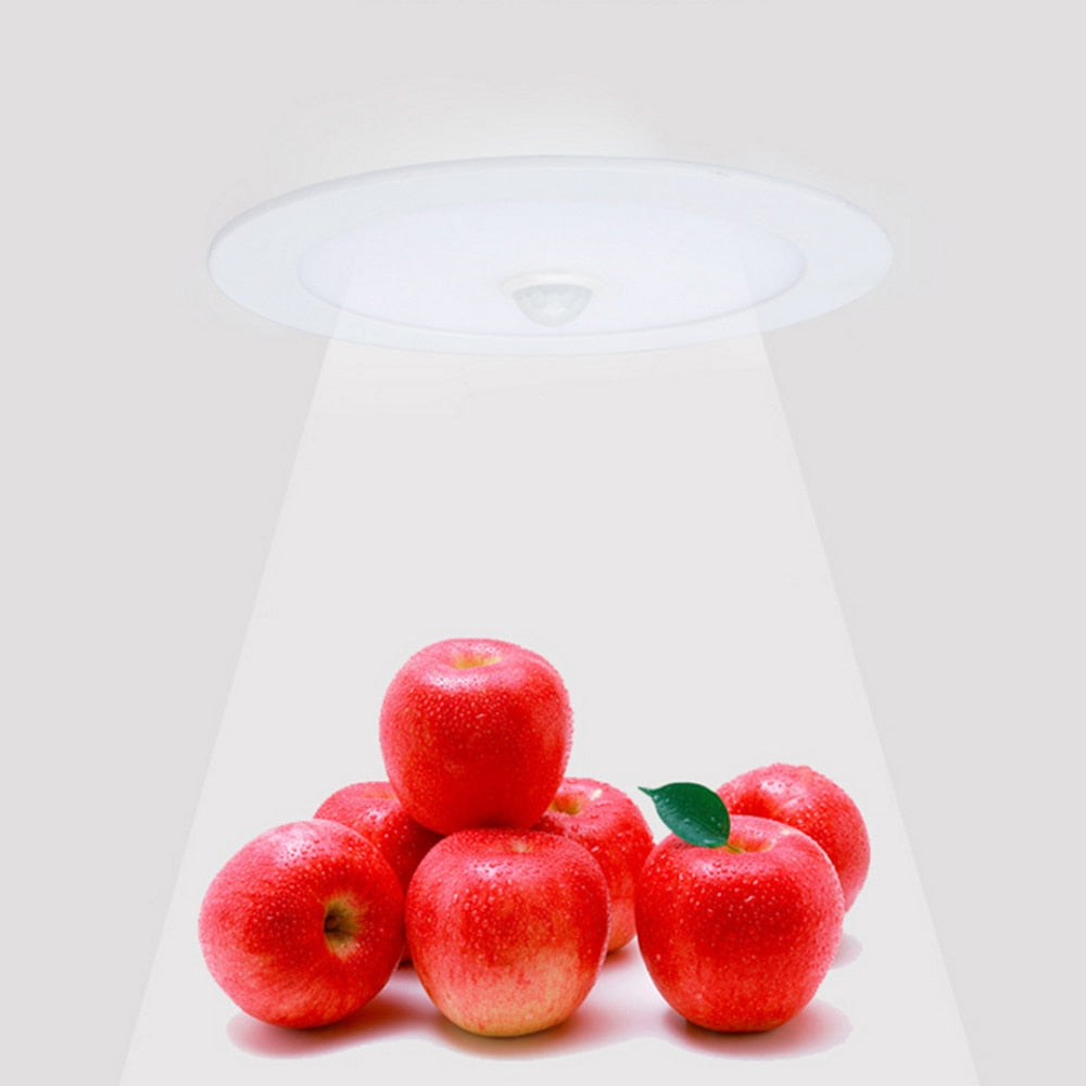 Ultra Bright LED Downlight Motion Sensor LED Light 6W 12W 20W 24W 220V 240V AC Living Room Home Lighting Recessed Light