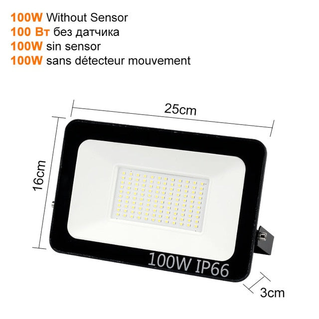 Motion Sensor LED Flood Light 10W 30W 50W Outdoor Floodlight 220V 240V Waterproof Led Spotlight for Garden Wall Street Light