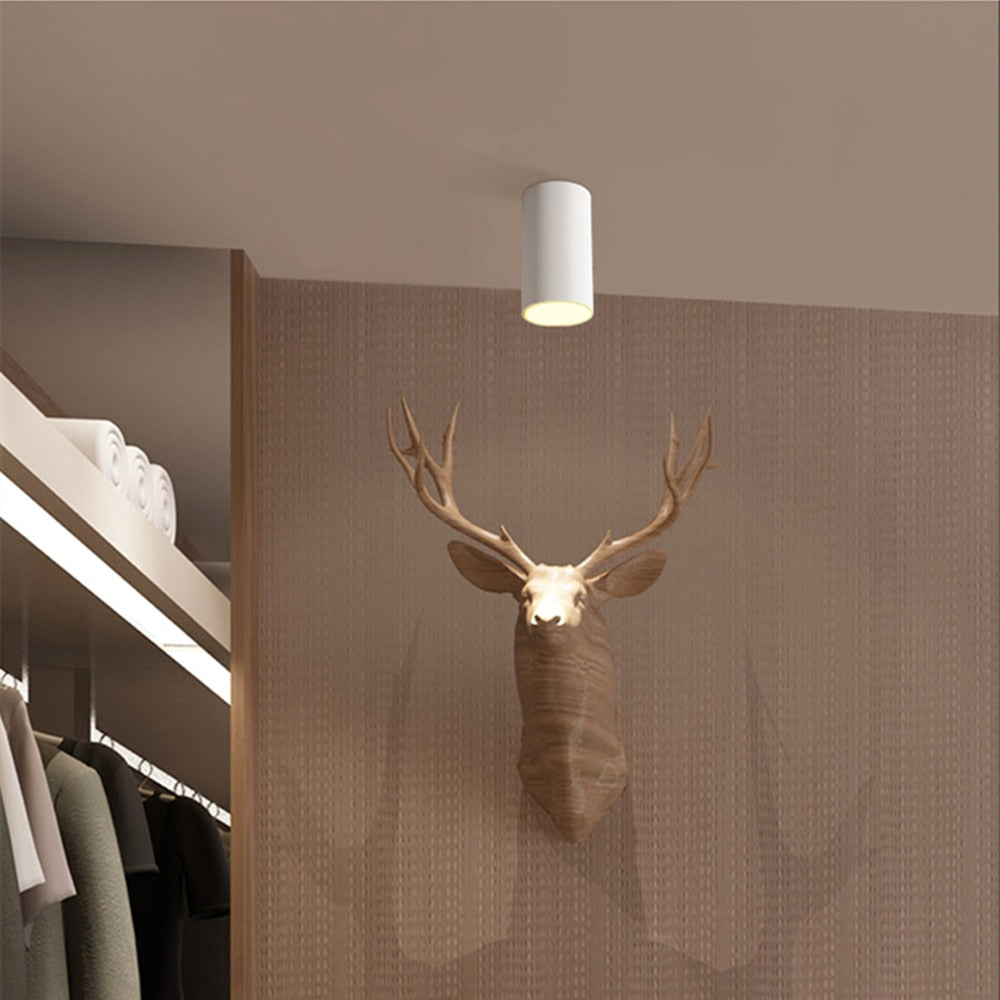 High Brightness Cree LED COB Ceiling Spot Lamp 10W 12W 15W Long Surface Mount Downlight for Indoor Lighting Kitchen Bedroom