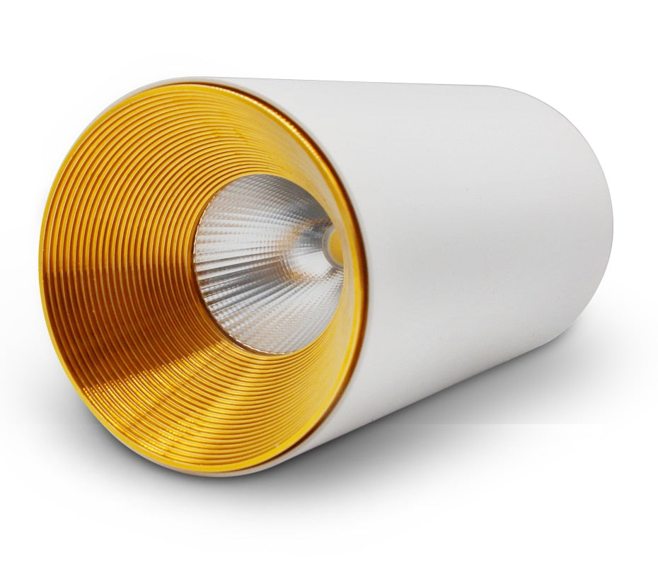 High Brightness Cree LED COB Ceiling Spot Lamp 10W 12W 15W Long Surface Mount Downlight for Indoor Lighting Kitchen Bedroom