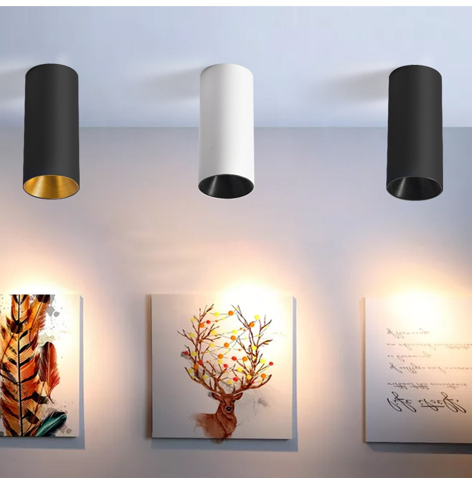 High Brightness Cree LED COB Ceiling Spot Lamp 10W 12W 15W Long Surface Mount Downlight for Indoor Lighting Kitchen Bedroom