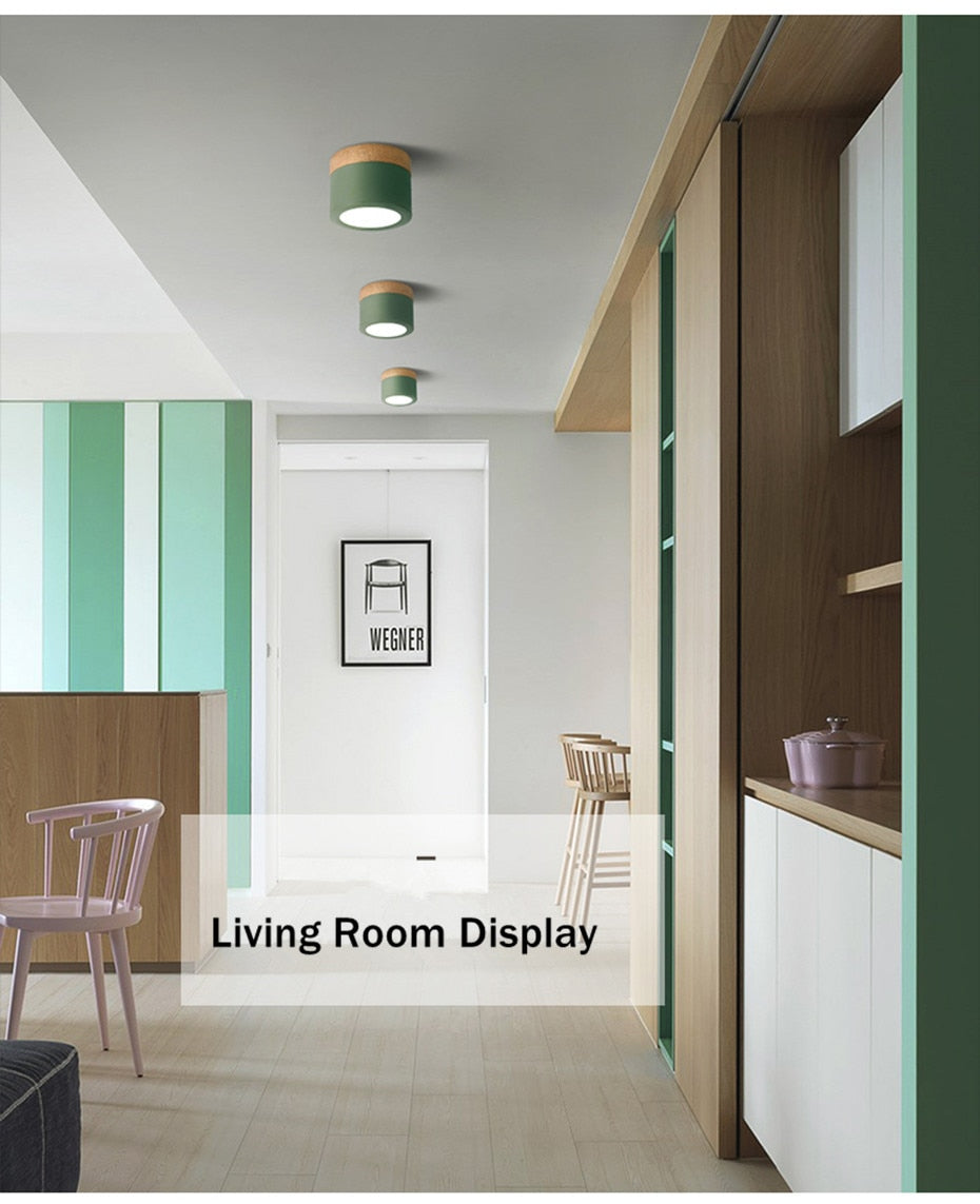 Nordic Led Surface Mounted Downlight Ceiling Lamp Lights Fixture 5W 12W Dimmable AC110V 220V Living Room Foyer Bedroom Spot Lamp