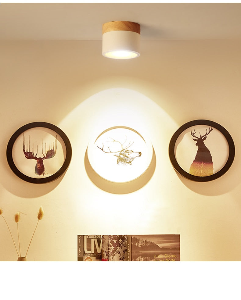 Dimmable LED Flush Mount Downlight, Ceiling Mount Accent Lighting Oak Wood 5W 7W 9W 12W Ideal for Hallway Gallery Picture 220v