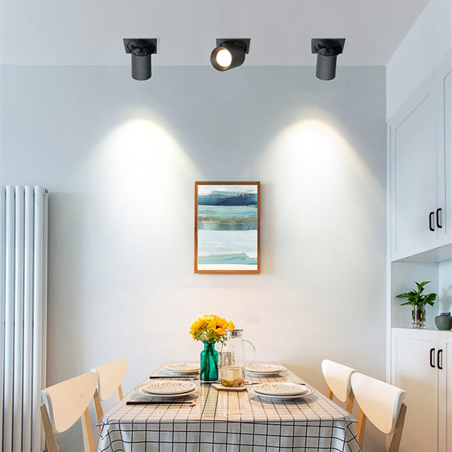 LED spot lights embedded ceiling lamp 24W 20W 14W living room simple Nordic Adjustable and Rotate COB downlight