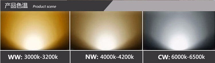 LED 2*15W Warm Cold White Double COB LED Downlight With Power Driver 30W COB LED Recessed Light 275*145mm AC85-265V