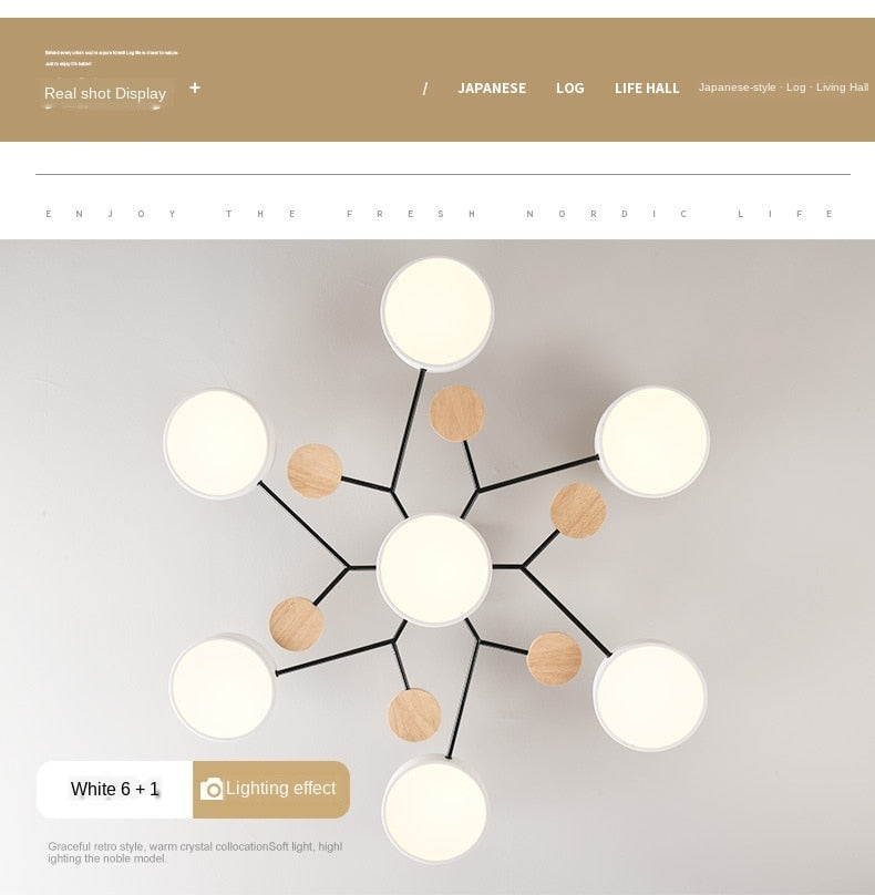 Modern living room LED ceiling lamp bedroom dining room lighting bathroom hotel chandelier factory direct sales