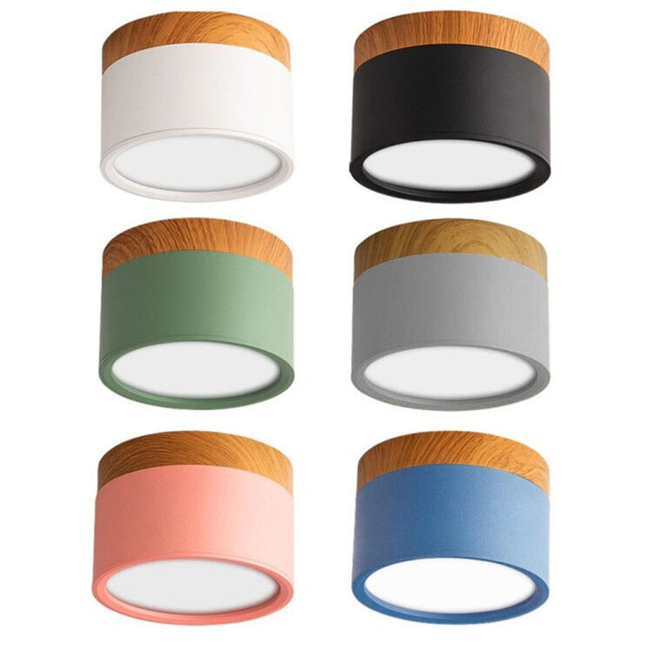 Nordic Led Surface Mounted Downlight Ceiling Lamp Lights Fixture 5W 12W Dimmable AC110V 220V Living Room Foyer Bedroom Spot Lamp