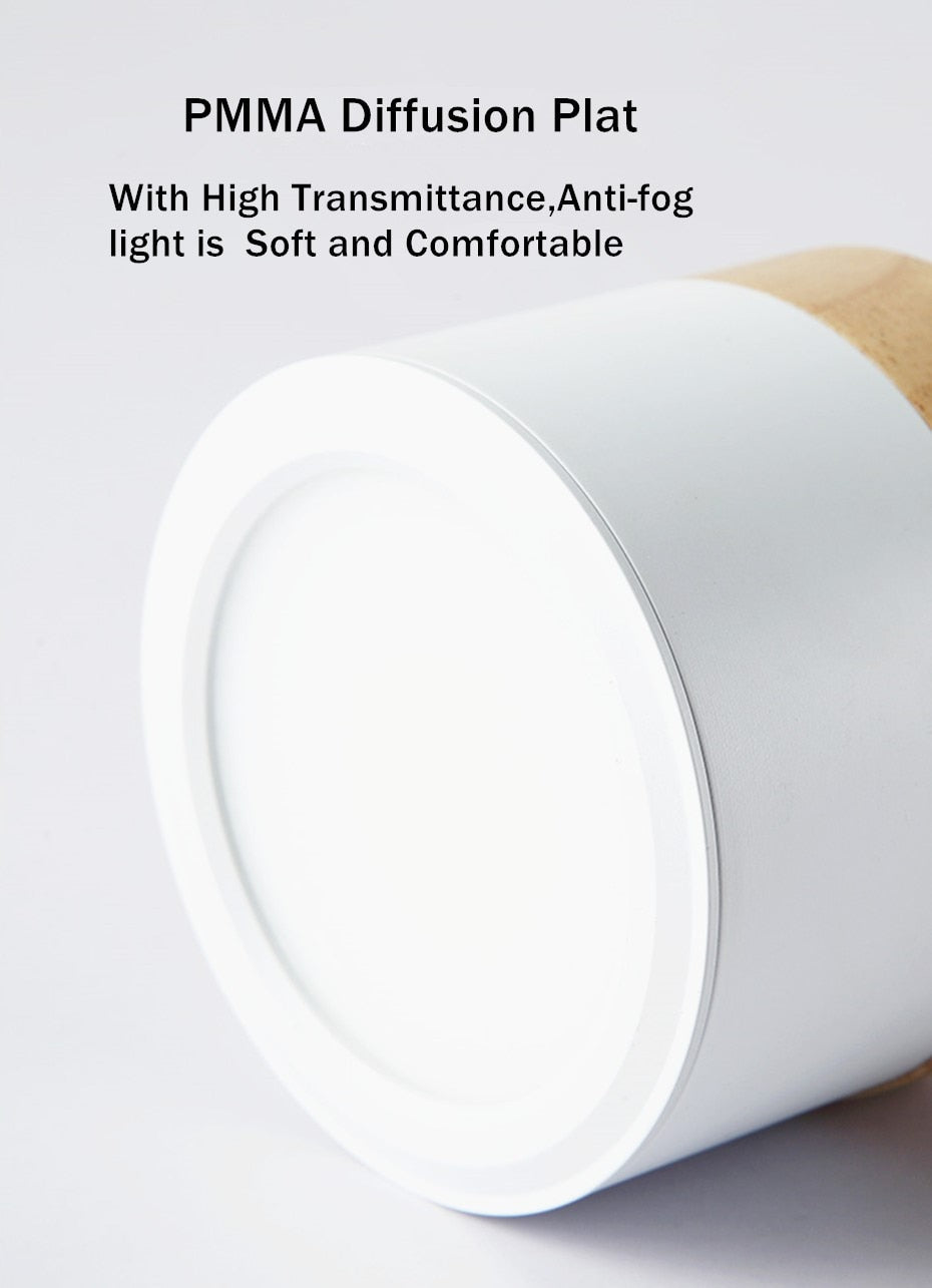 Nordic Led Surface Mounted Downlight Ceiling Lamp Lights Fixture 5W 12W Dimmable AC110V 220V Living Room Foyer Bedroom Spot Lamp