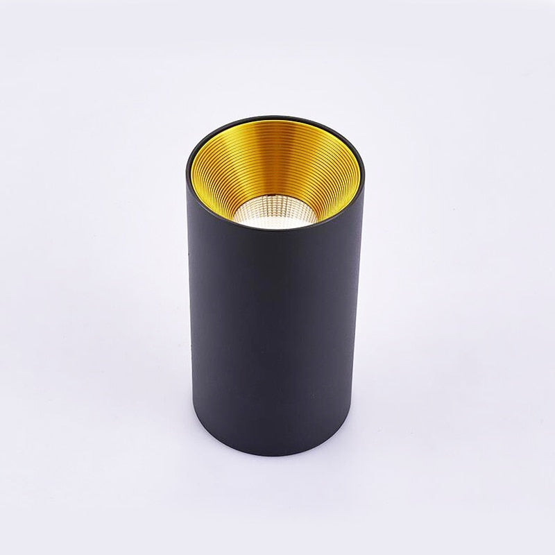 Dimmable LED Ceiling Spotlight Epistar Chip AC85-265V 10W 12W 15W Aluminum Surface Mounted Downlight COB Background Lamps