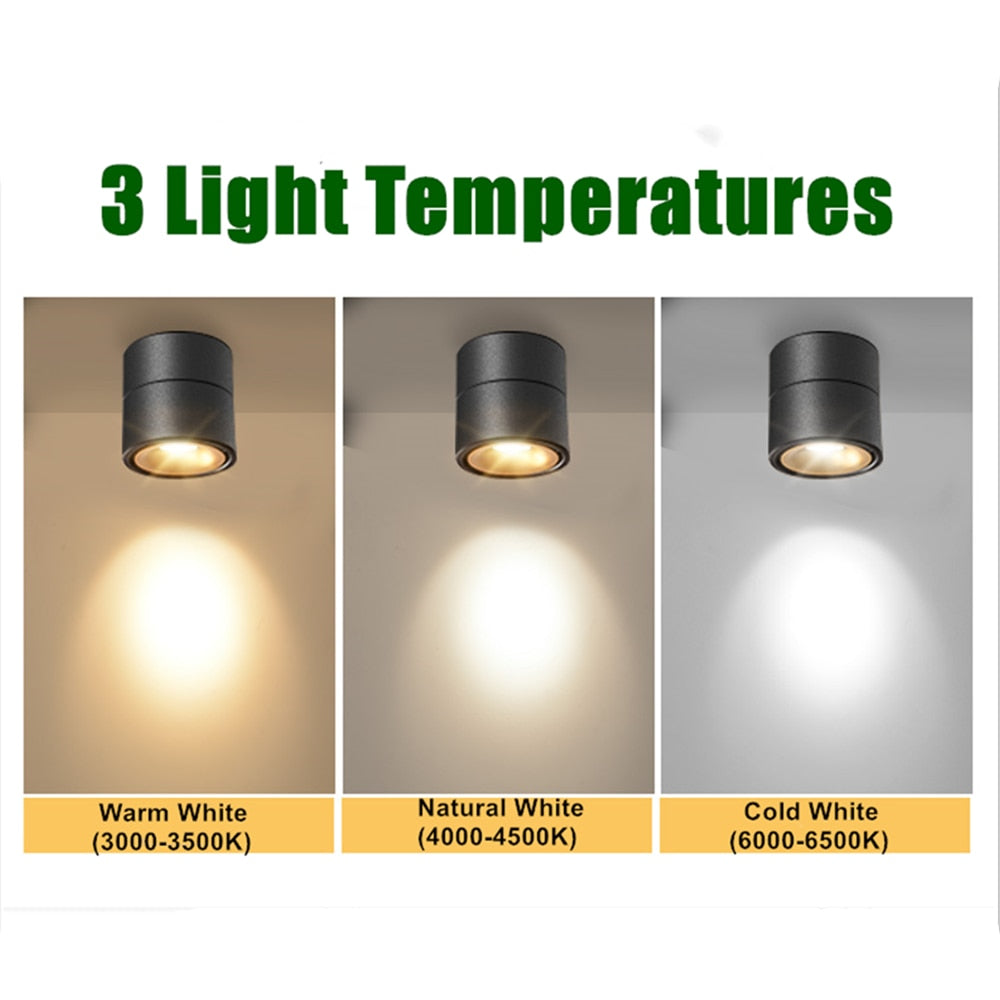 DBF Angle Adjustable LED Surface Downlight 360 Degree Rotatable 7W 10W 12W 15W LED Ceiling Spot Lamp AC85-265V Indoor Lighting