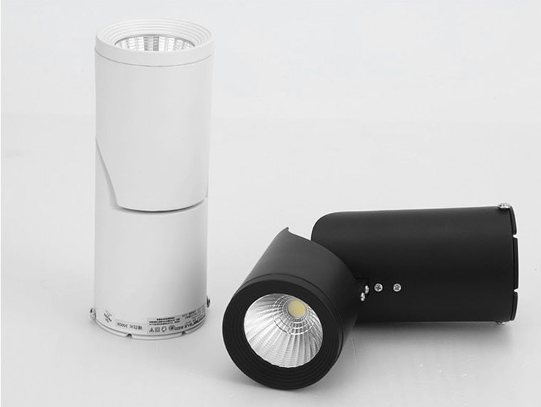 Dimmable Rotating LED Downlights 10W 15W 20W COB LED Ceiling Spot Lights AC110-220V LED Wall Lamp Warm Cold White Indoor Lighting