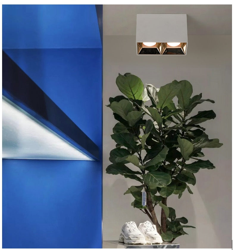 Square LED Spotlight Corridor / Cloakroom for Living room, Kitchen, Bedroom Ceiling lights 10W 20W Downligh AC100-240V