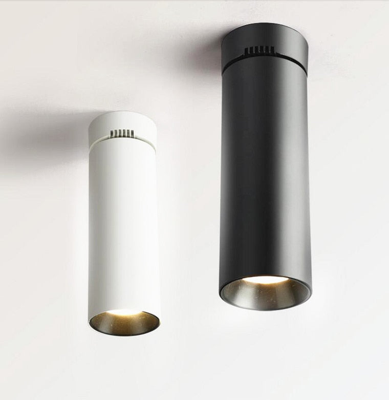 Surface Mounted LED Downlights Foldable 360° Rotatable COB LED Ceiling Spot lights 12W15W20W LED Lamps Background Wall Lighting