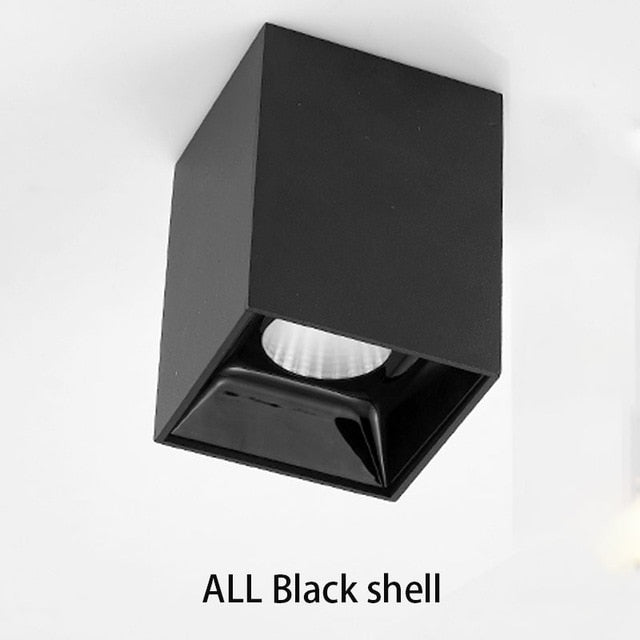 Square LED Spotlight Corridor / Cloakroom for Living room, Kitchen, Bedroom Ceiling lights 10W 20W Downligh AC100-240V