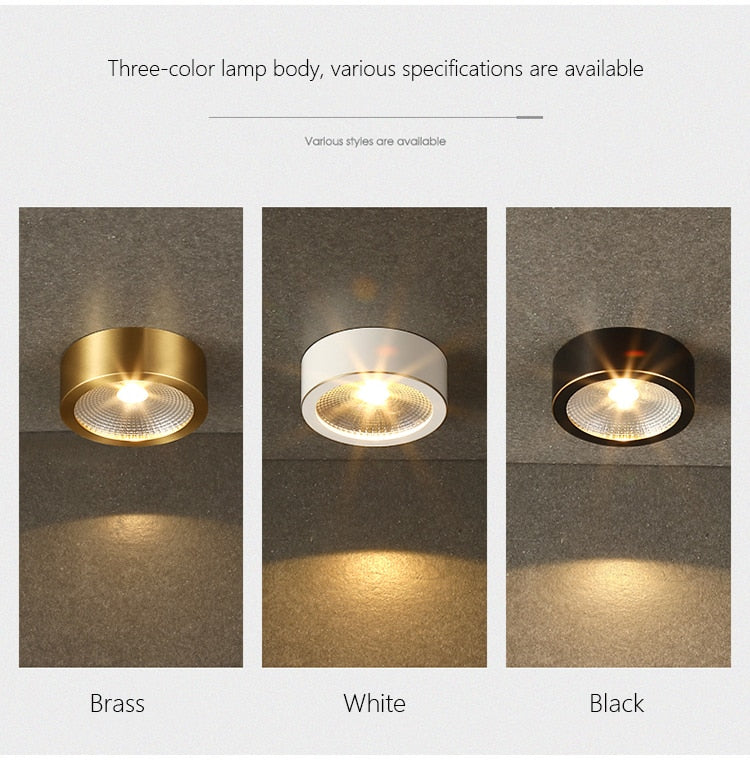 LED Downlight Surface Mounted Home Living Room Corridor Porch Hallway Aisle Embedded Brass Cob Downlight