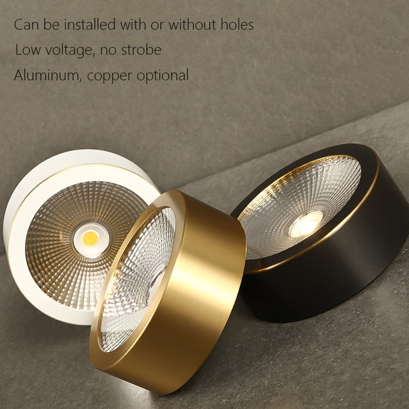 LED Downlight Surface Mounted Home Living Room Corridor Porch Hallway Aisle Embedded Brass Cob Downlight