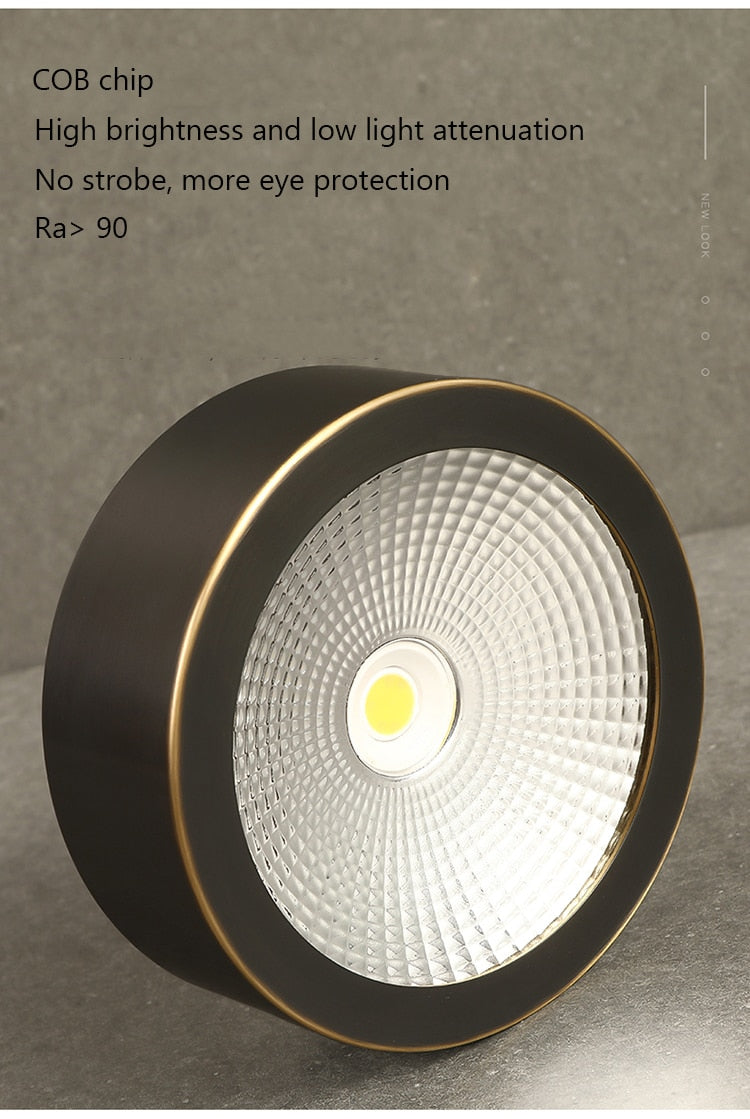 LED Downlight Surface Mounted Home Living Room Corridor Porch Hallway Aisle Embedded Brass Cob Downlight
