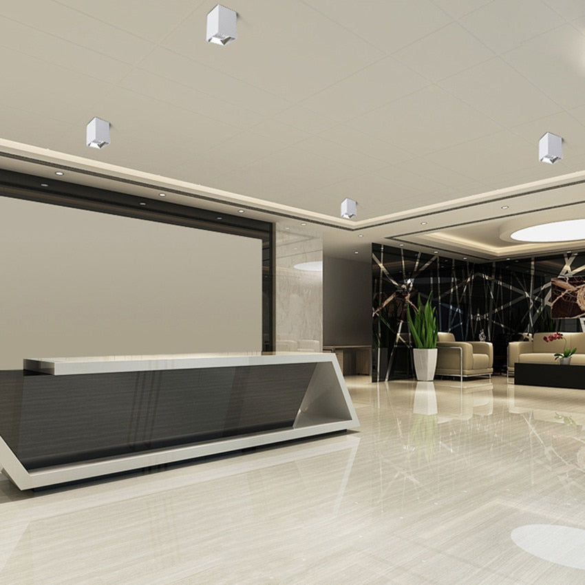 LED Downlight 3W 5W 7W 12W Surface Mounted Ceiling Lamps AC85-260V White/Black Spot Light for Living Room Bedroom Hallway BL900