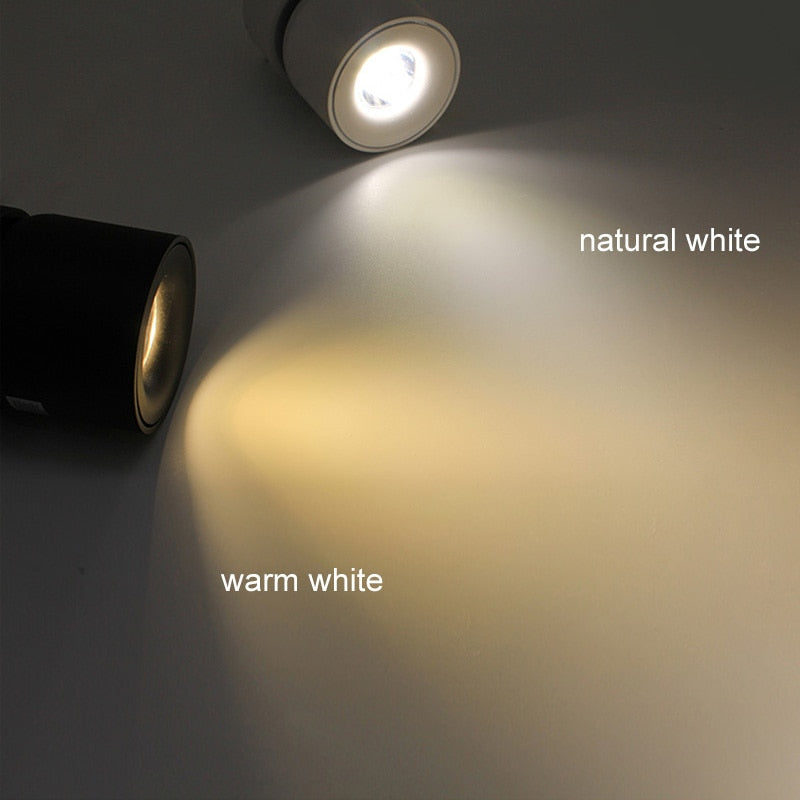 Modern Led Ceiling Lights For Living Room Black Surface Mounted Adjustable Downlight Indoor Restaurant Hotel Aisle Lamp Lustre