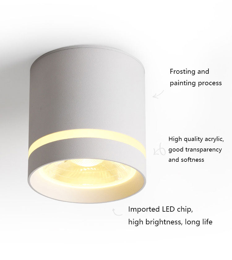 Spotlight Ceiling light Porch Living room Bedroom Bathroom Corridor Dimmable Ceiling lamp downlight 10W AC110V 220V