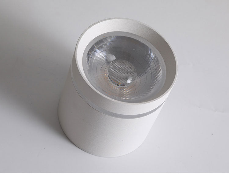 Spotlight Ceiling light Porch Living room Bedroom Bathroom Corridor Dimmable Ceiling lamp downlight 10W AC110V 220V