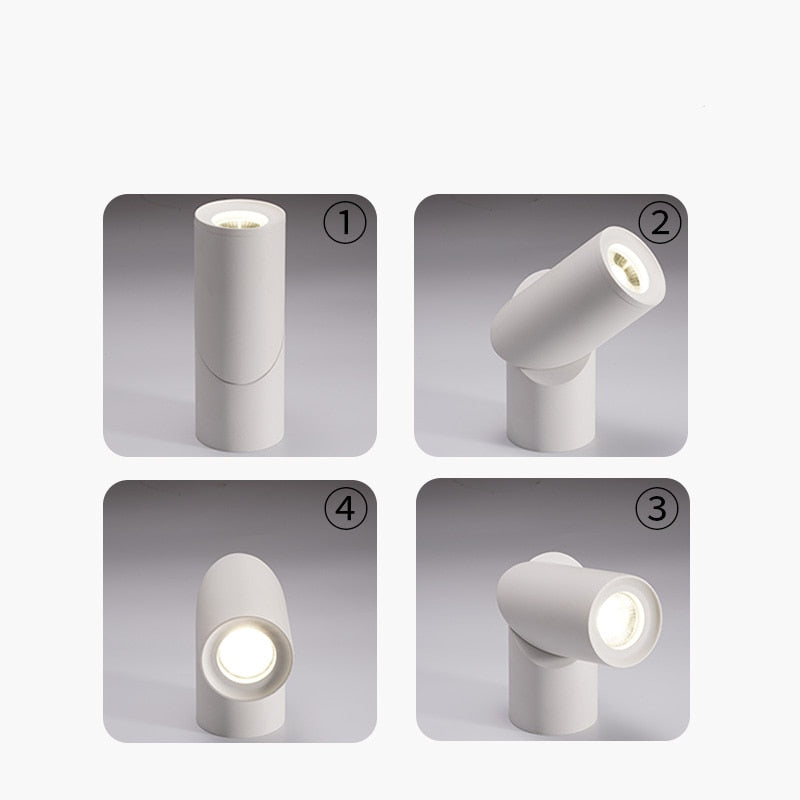 Dimmable Rotating LED Downlights 10W 15W 20W COB LED Ceiling Spot Lights AC110-220V LED Warm Cold White Indoor Lighting