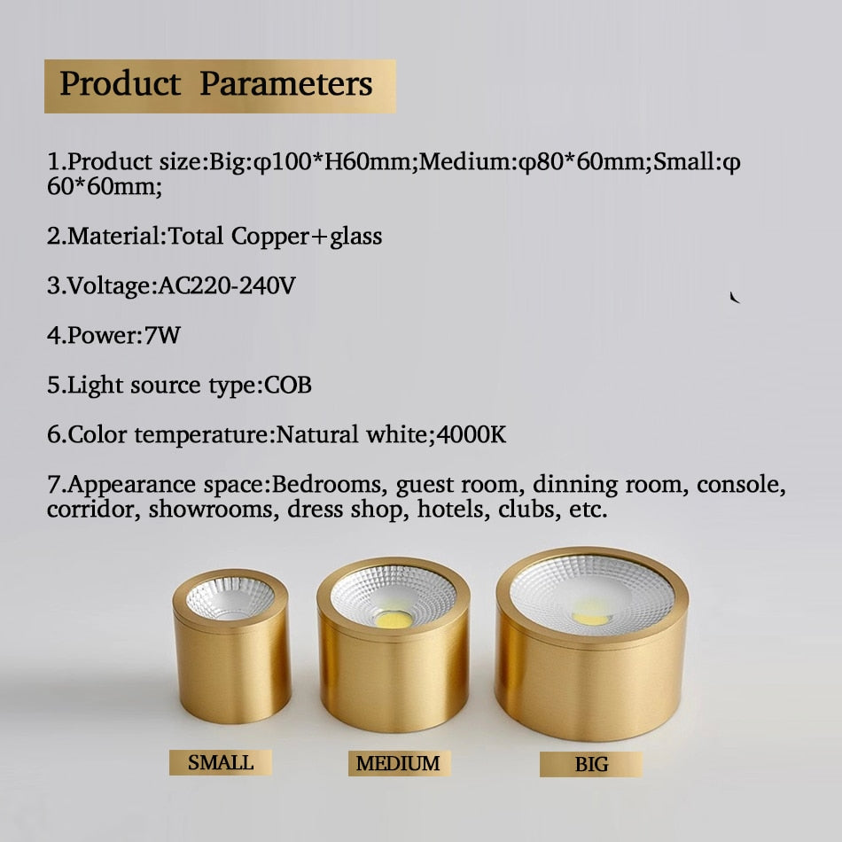 Copper Surface Mounted Ceiling Downlight 7W LED Ceiling Spot Light for Living Room Bedroom Corridor Spot Light Home Fixture