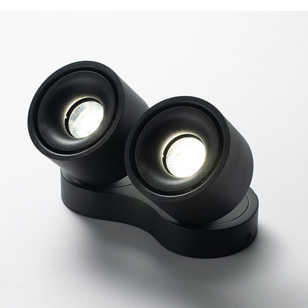 Dimmable Surface Mounted LED COB Downlight 20W/24W Rotating LED Spot Light Ceiling Lamp with LED Driver AC110V/220V