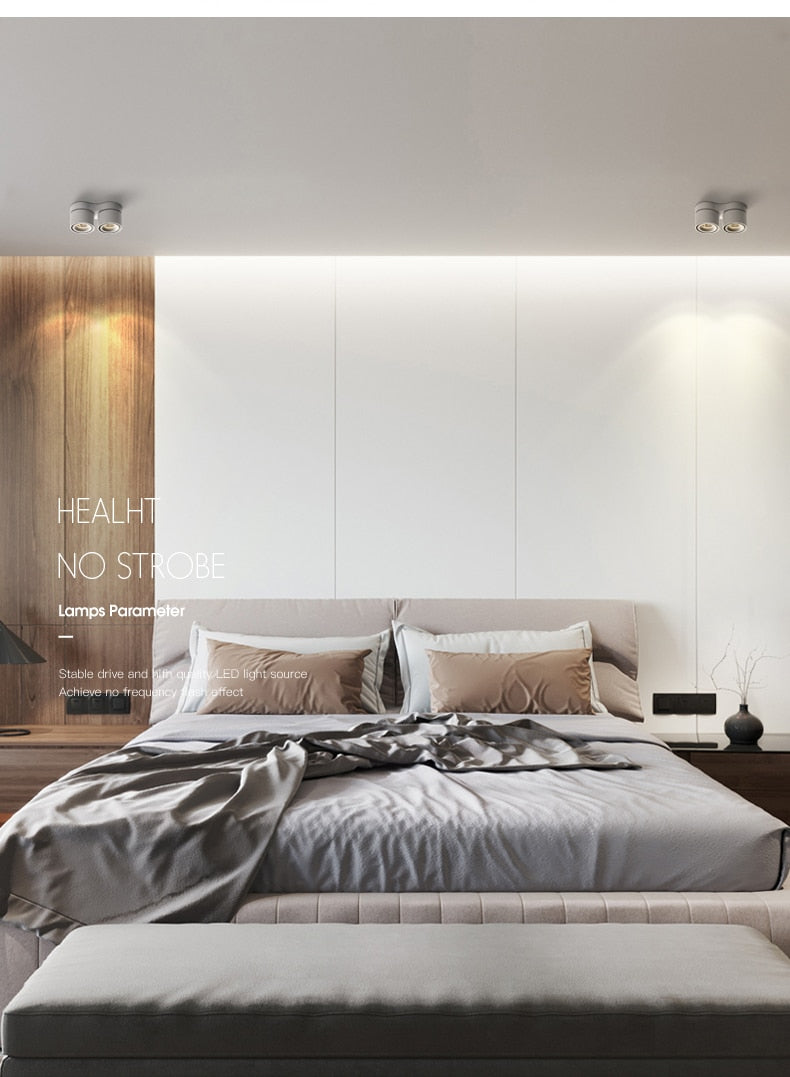 Dimmable Surface Mounted LED COB Downlight 20W/24W Rotating LED Spot Light Ceiling Lamp with LED Driver AC110V/220V