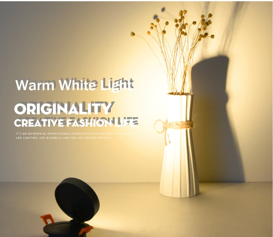 Angle Adjustable LED Ceiling Recessed Downlight 360 Degree Rotatable 3W 5W 7W 10W Ceiling Spot Light 3000K/4000K/6000K 220V