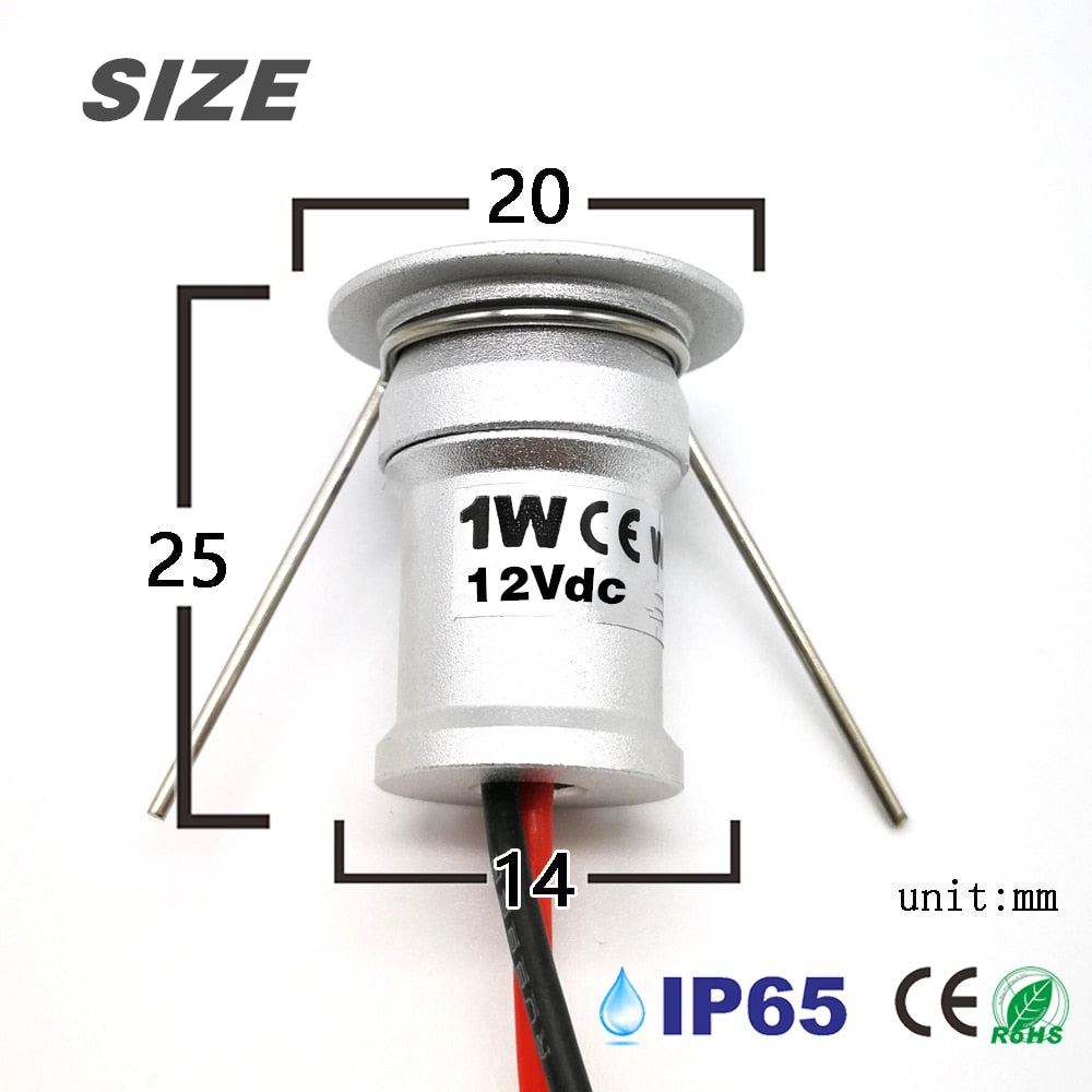 LED 12V Downlight Dimmable Spotlight IP65 Foco Led Stair Light 1W Cabinet Showcase Ceiling light with Remote Controller IP67 Driver