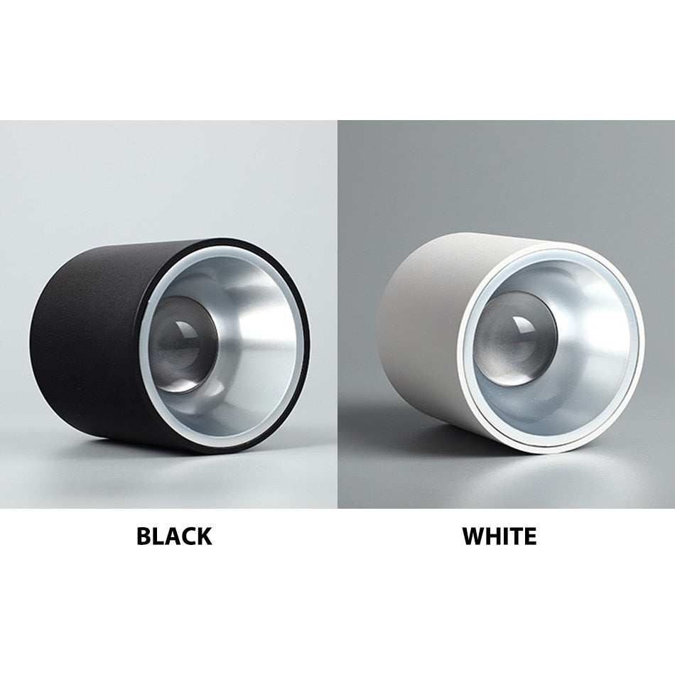 LED waterproof Ip65 COB Ceiling outdoor Surface Mounted 8W 12W 15W 20W 30W AC85-265V LED downlight Hotel villa home lighting