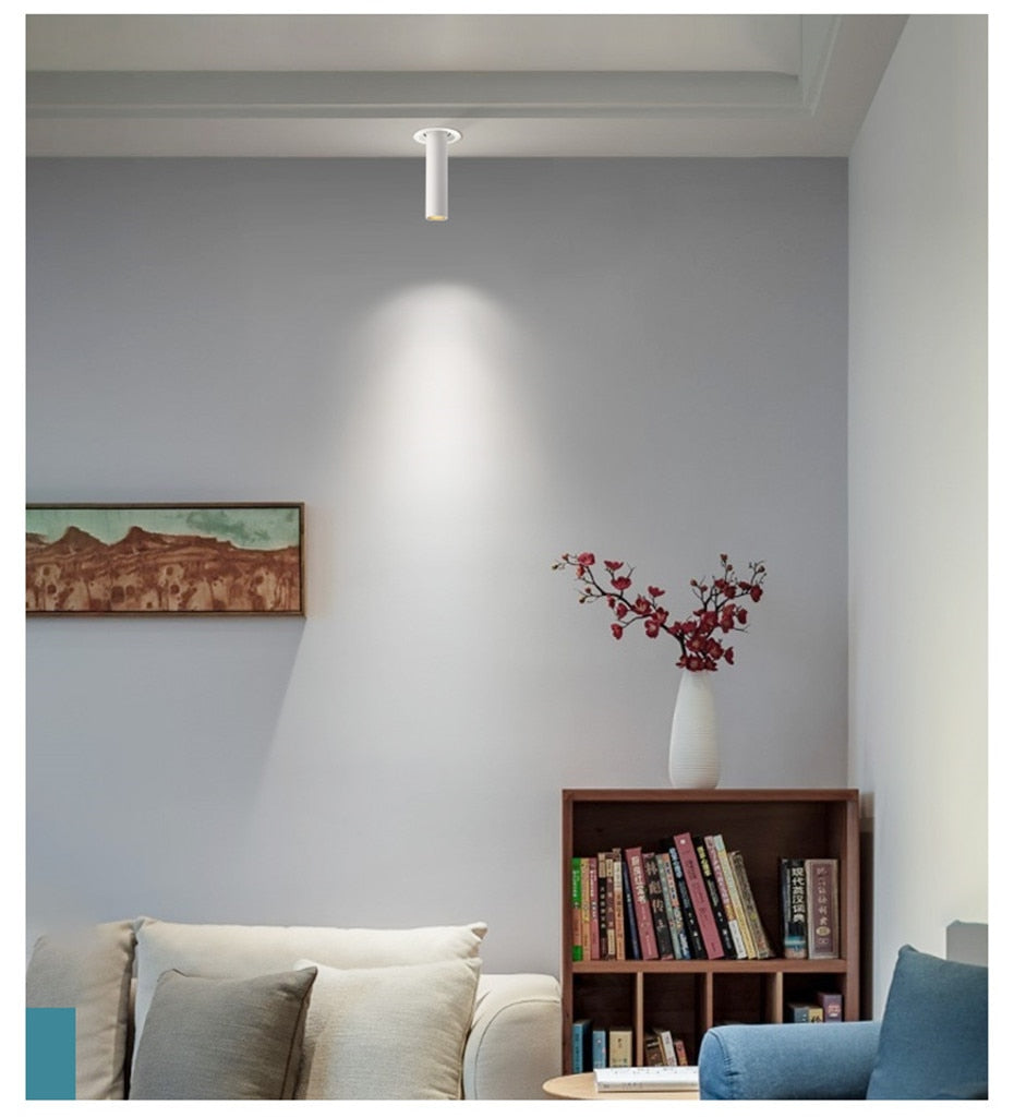 Modern Led Downlight 12W Long Tube Recessed In Ceiling Downlight Length 120mm 200mm Angle Adjustable Spot Lighting Led Spot Lamp