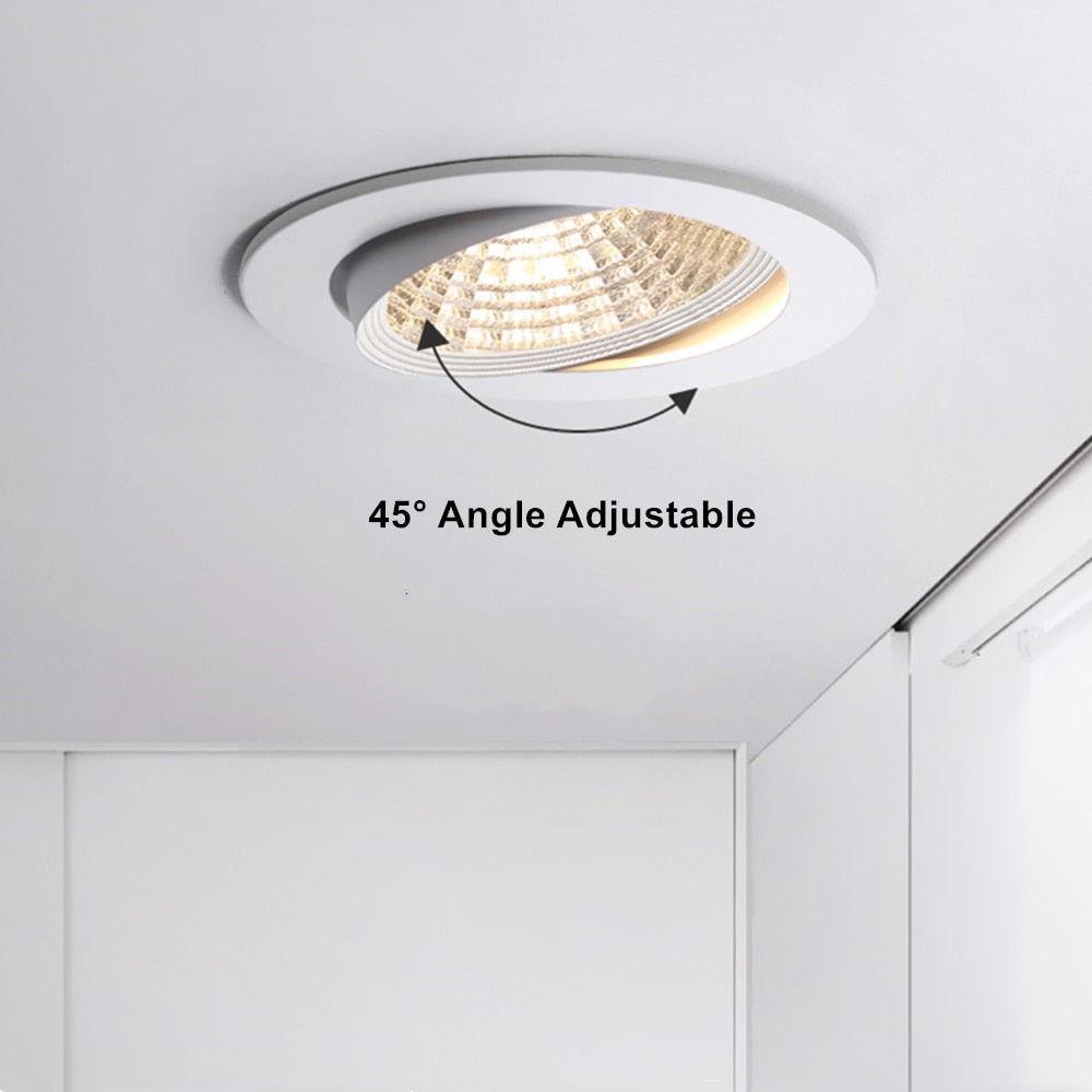 Super Bright Recessed LED Dimmable Downlight COB 6W 9W 12W 15W LED Spot light LED decoration Ceiling Lamp AC 110V 220V