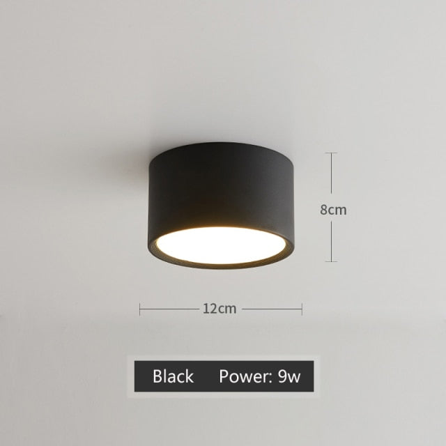 LED Downlight Ceiling Spotlights Living Lamp Nordic Lighting For Kitchen Aisle Spot light Surface mounted AC90-260v