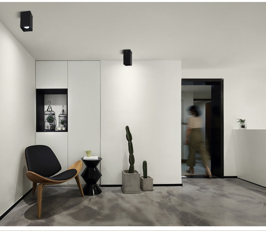 Surface Mounted Downlight Led Ceiling Lamp 15W 20W LED COB Downlight Indoor Lighting For Living Room Bedroom Kitchen AC110V 220V