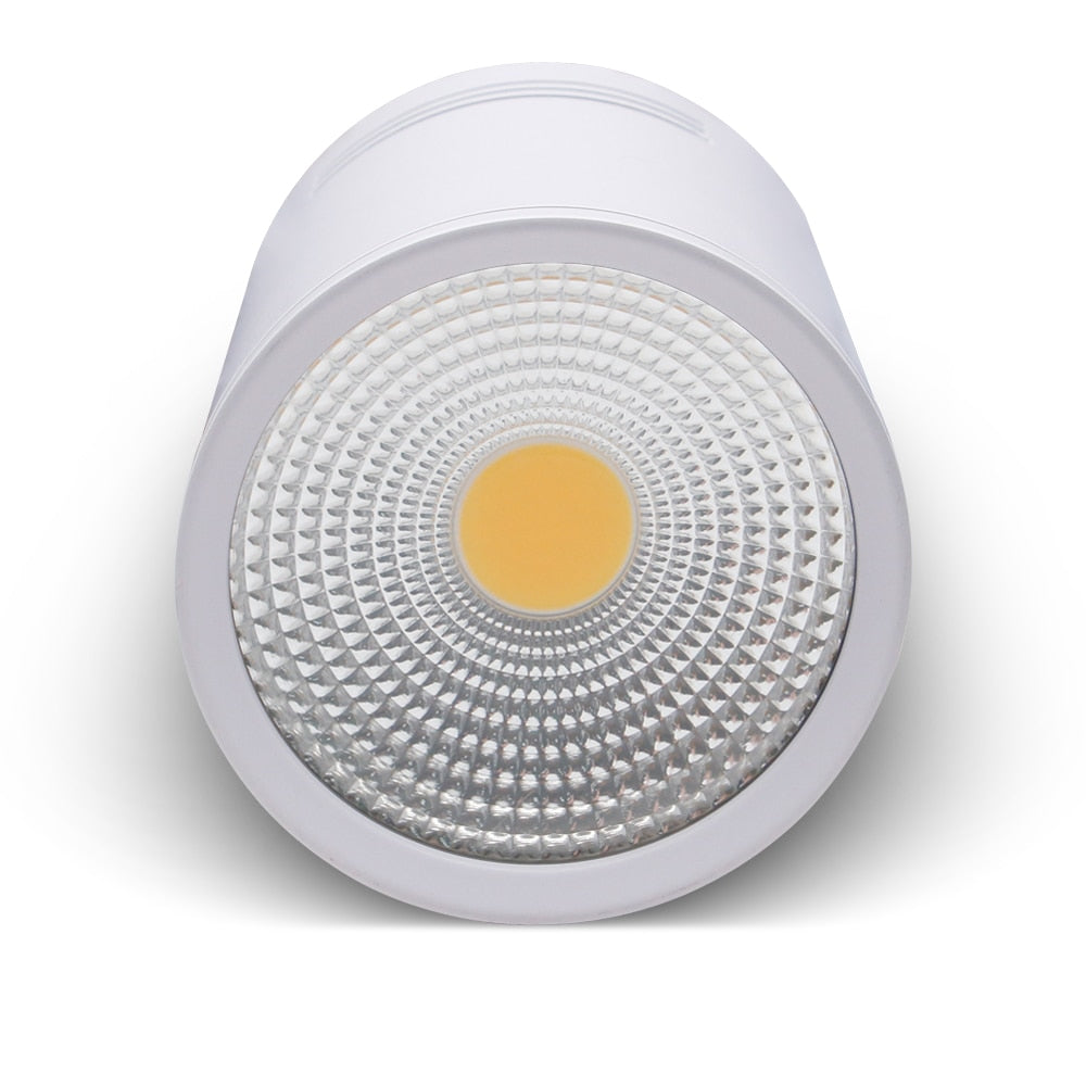 LED Downlights 3W 5W 7W 10W 15W Ceiling Lamps Spot Light AC85-265V Surface Mounted Down Light White/Warm white