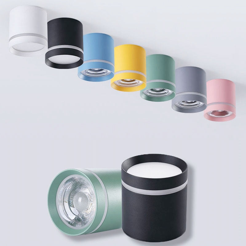 Spotlight Ceiling light Porch Living room Bedroom Bathroom Corridor Dimmable Ceiling lamp downlight 10W AC110V 220V