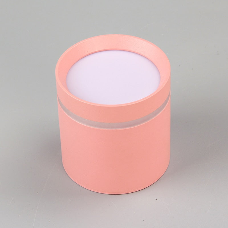 Spotlight Ceiling light Porch Living room Bedroom Bathroom Corridor Dimmable Ceiling lamp downlight 10W AC110V 220V