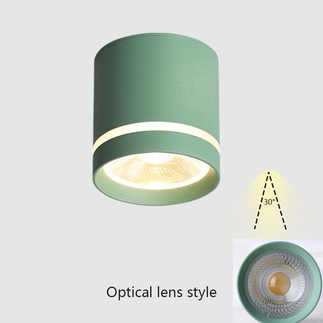 Spotlight Ceiling light Porch Living room Bedroom Bathroom Corridor Dimmable Ceiling lamp downlight 10W AC110V 220V