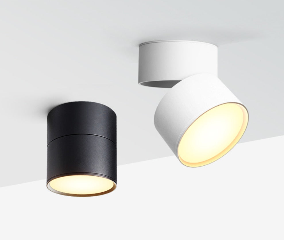 Folding Dimmable LED Downlights 9W 12W 15W LED Ceiling Spot Lights AC110-240V LED Ceiling Lamps Warm Cold White Indoor Lighting