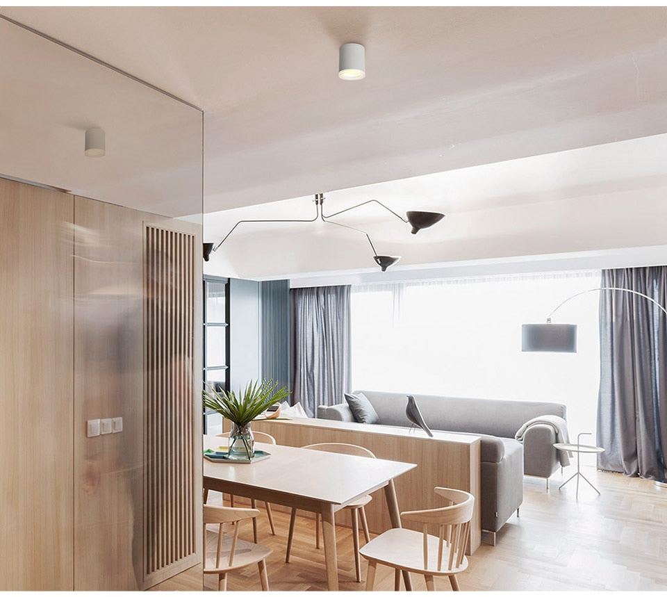 Aisilan Led Surface Mounted Ceiling Downlight for indoor Living room, Bedroom, Kitchen, Bathroom, Corridor Spot light AC90-260V