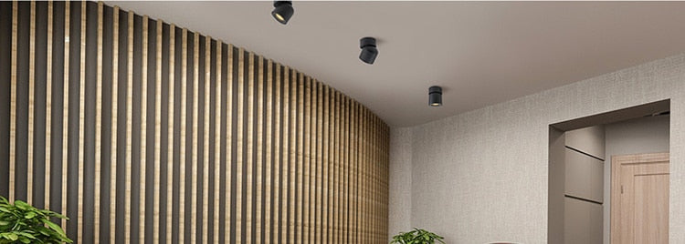 Modern Led Ceiling Lights For Living Room Black Surface Mounted Adjustable Downlight Indoor Restaurant Hotel Aisle Lamp Lustre