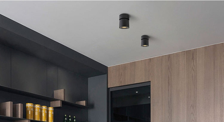Modern Led Ceiling Lights For Living Room Black Surface Mounted Adjustable Downlight Indoor Restaurant Hotel Aisle Lamp Lustre