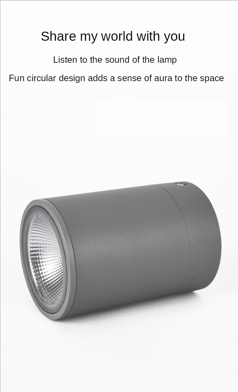 LED Waterproof IP65 COB Ceiling Downlight Surface Mounted Balcony Terrace Hotel Kitchen Bathroom Lamp